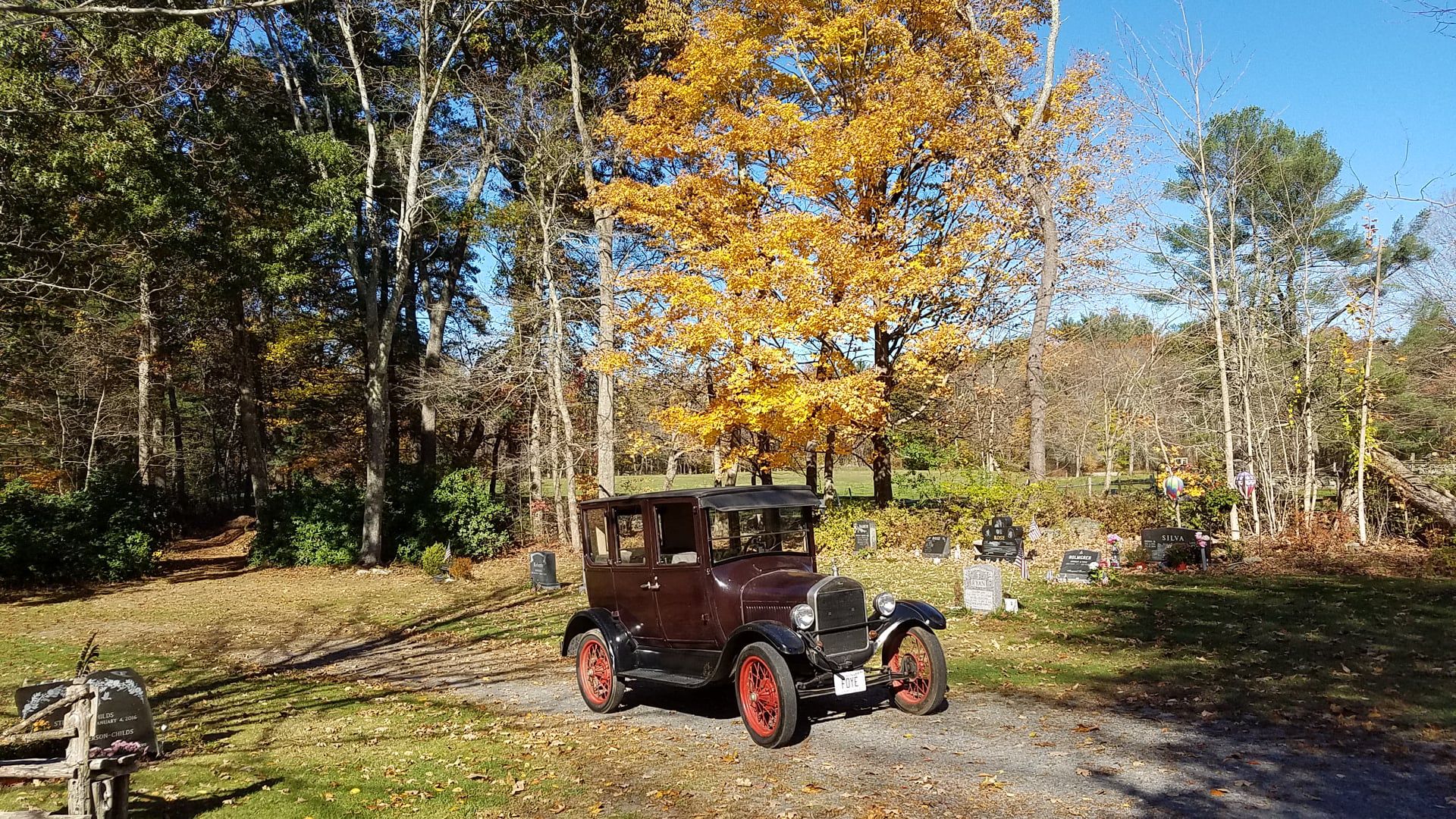Fordor autumn front view